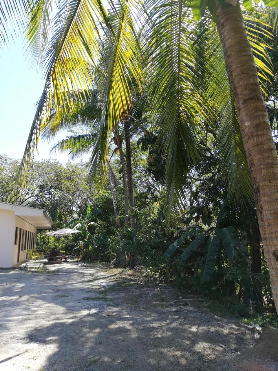 Casa Taupe Ξενοδοχείο Puerto Carrillo Εξωτερικό φωτογραφία
